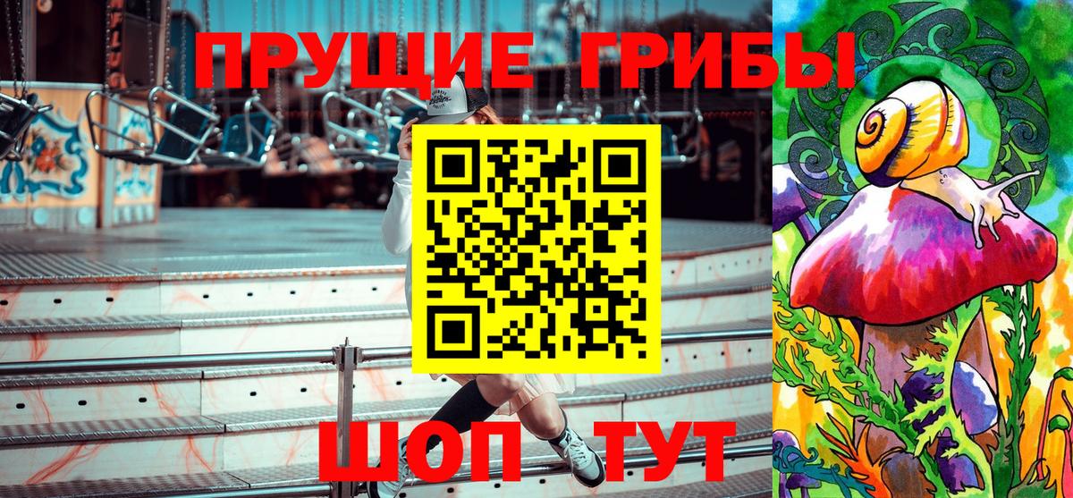 Псилоцибиновые грибы мицелий Крымск